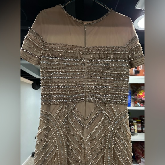 Women’s Beige Theia Embellished Tulle Column Evening Gown - Picture 15 of 16